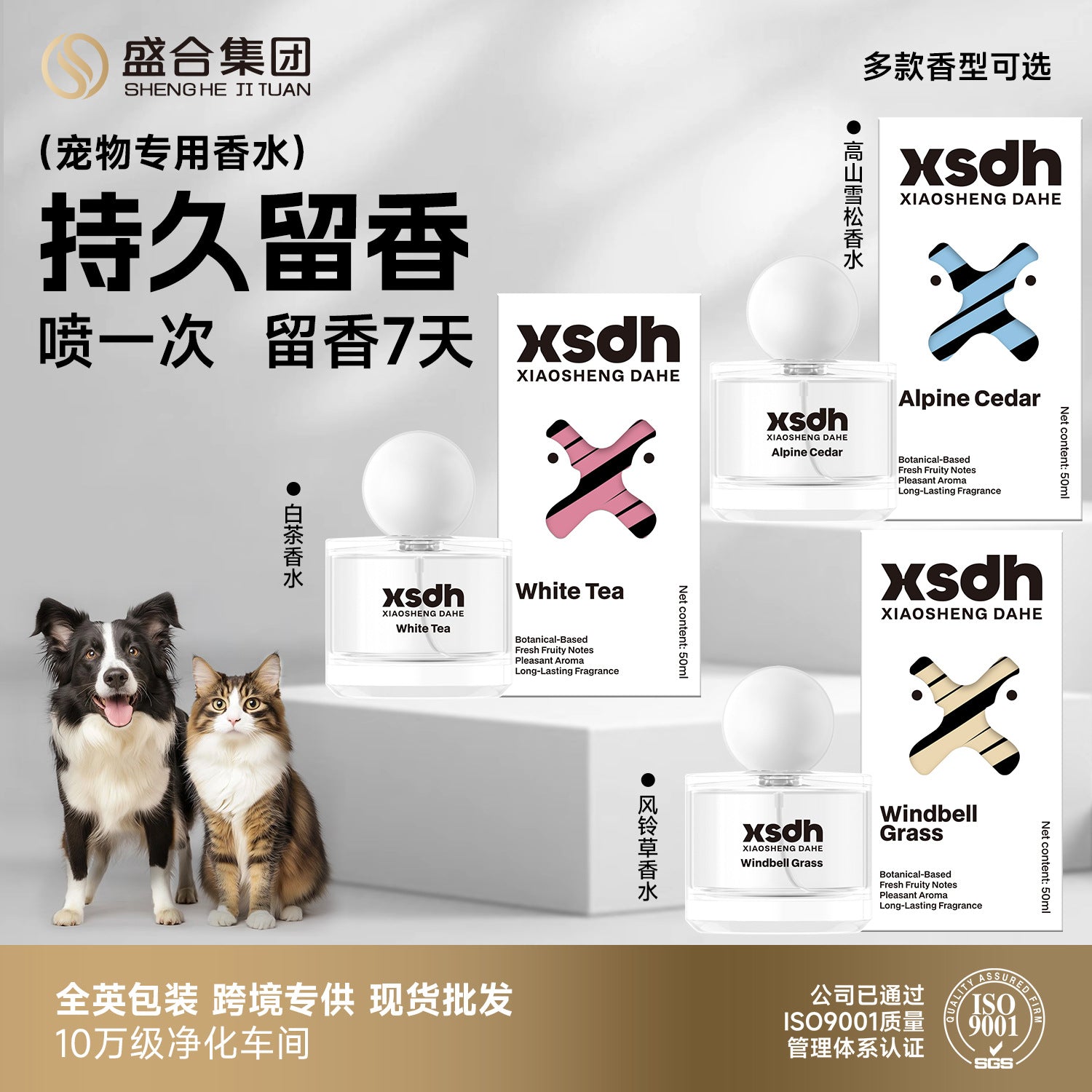 Trockenschaum-Shampoo für Hunde & Katzen, Reinigung & Geruchskontrolle ohne Ausspülen