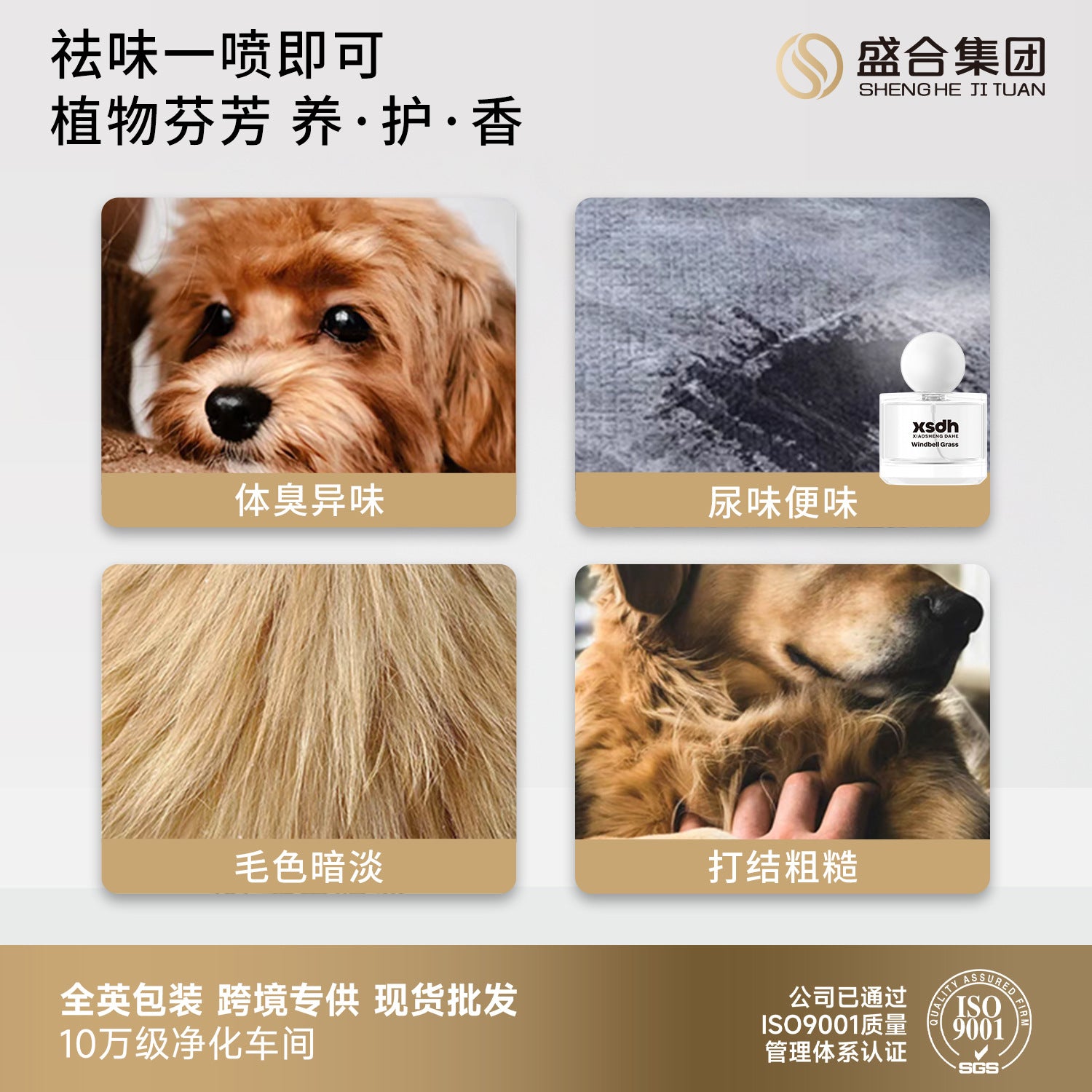 Trockenschaum-Shampoo für Hunde & Katzen, Reinigung & Geruchskontrolle ohne Ausspülen
