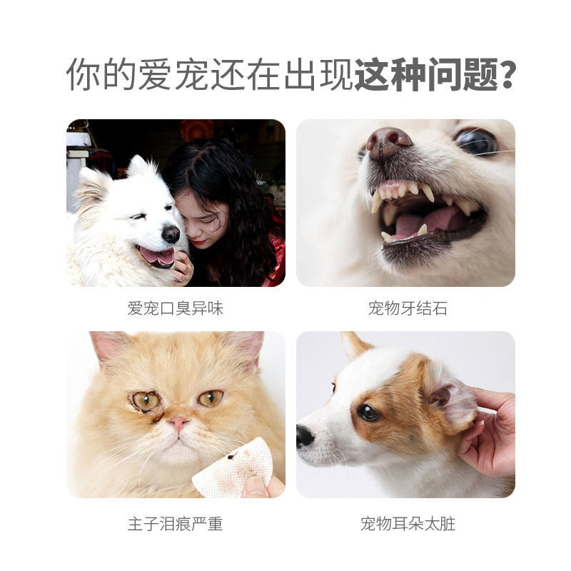 Haustier Fingerzahnbürste & Dental-Reinigungstücher für Katzen und Hunde, Mundpflege