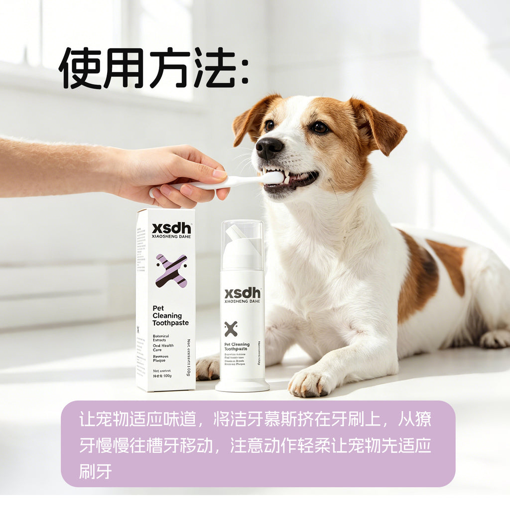 Probiotischer Zahn-Mousse für Hunde & Katzen | Essbarer Zahnreinigungs-Schaum OEM